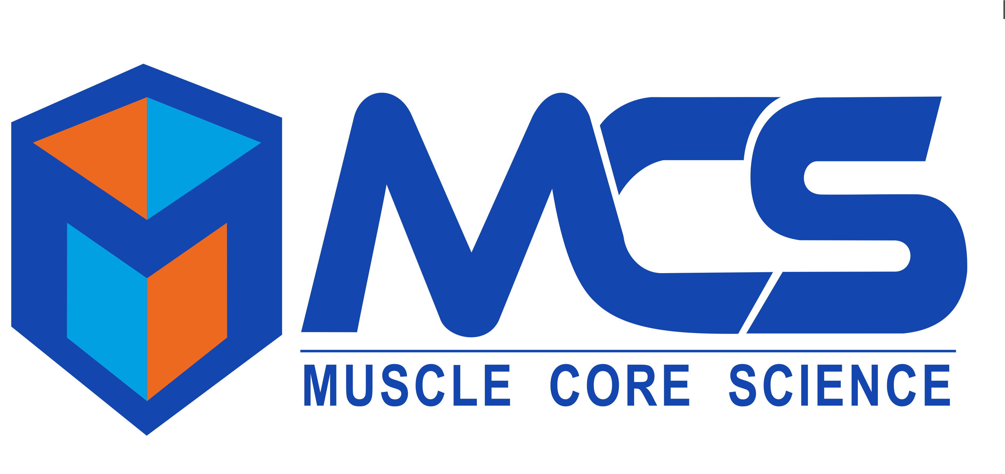 MCS-LOGO